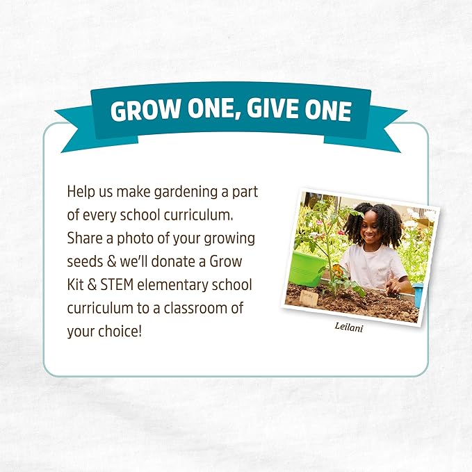 Back to The Roots 100% Organic Heirloom Seeds - Yellow Onion Value Pack (400mg Total)