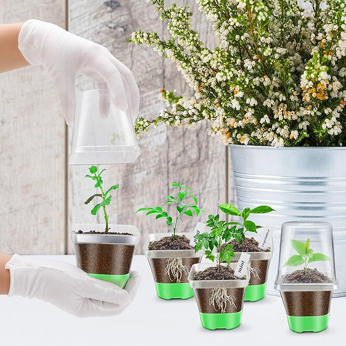 Sckee Clear Nursery Pots for Plants,30 Packs Seed Starting Pots 3.1 inch Plastic Plant Pot Seedling Pots with Drainage Holes Plant Nursery Pots with Silicone Base Seed Starting Pot