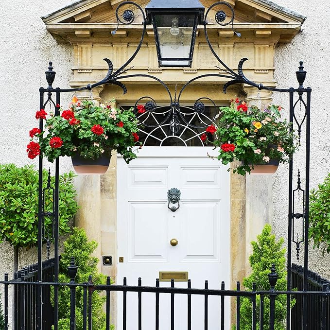 montresor Set of 2-8 Inch Hanging Planters for Indoor Plants with Self-Watering Includes Hanging Pots for Plants, Outdoor Hanging Plant Pot with Drainage, and 2 Types of Baskets Hangers (Black)
