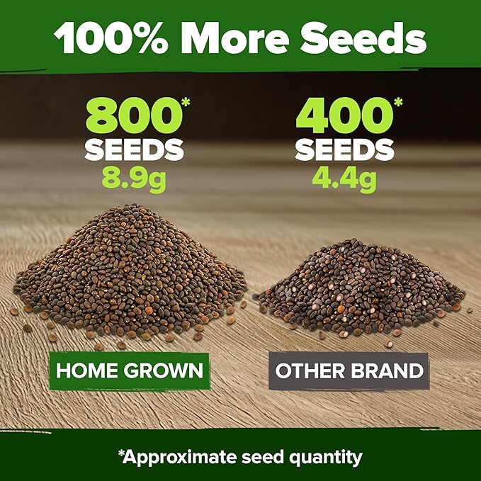 HOME GROWN Non GMO Cherry Belle Radish Seeds 800+ Heirloom Vegetable Seeds for Planting Outdoors Harvest in 30 Days Red Radishes, Spring and Fall Garden(Raphanus Sativus)