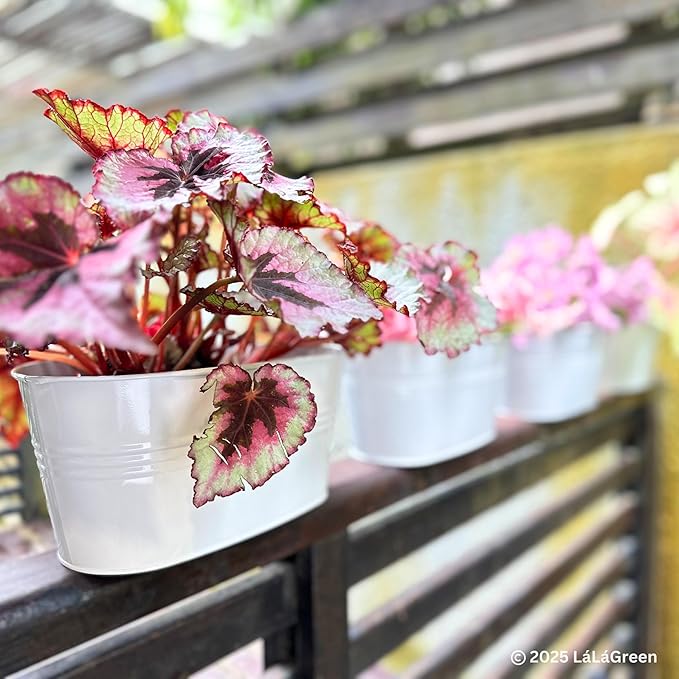 LaLaGreen Planter Boxes for Outdoor (8 Pack, 17 Inch) White Metal Deck Railing Hanging Flower Pots, Large Window Box Plant Holder Hooks Fence Rail Bucket Modern Countryside Boho Style Wall Mount Porch