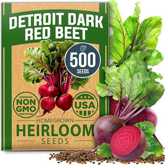 HOME GROWN Non GMO Detroit Dark Red Beet Seeds Pack - 500 Heirloom Vegetable Seeds for Planting - Red Beet for Home Garden High Germination(Beta vulgaris)