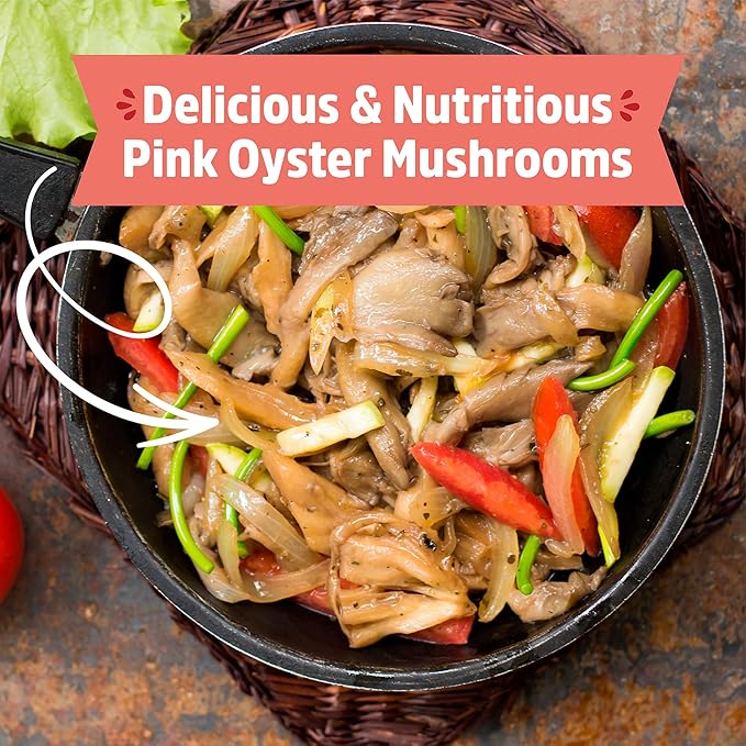 Back to The Roots Organic Pink Miniature Mushroom Grow Kit, Harvest Gourmet Mushrooms in 10 Days