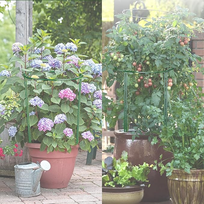 LKSSZS 10 Pack 30 Inch Plant Support Stakes, Heavy-Duty Half Round Peony Support Ring Cage, Metal Garden Plant Stakes for Outdoor Plants - Peony, Tomato, Hydrangea with Cuttable Plant Ties