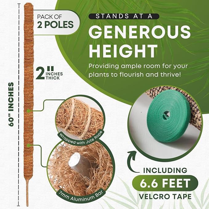 Auraville Bendable Moss Pole for Plants | 2 Pack 60 Inch Tall Moss Pole Monstera Plant Support | Large Poles for Climbing Plants | Handmade Plant Sticks Support Tall Potted Plants