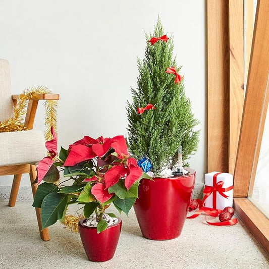 Set of 2, Smart Self-Watering Planters for Indoor and Outdoor - Round, Red