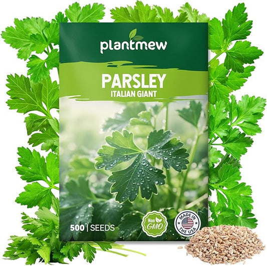 Italian Giant Parsley Seeds for Planting - 500+ Heirloom, Non-GMO Seeds - Herb Seeds Packet for Plating Home Garden, Herb Garden - Indoor/Outdoor, Easy to Grow