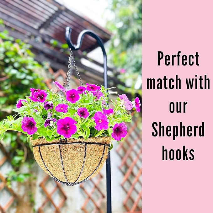 LaLaGreen Outdoor Hanging Baskets (2 Pack, 10 Inch) Hanging Planter with Coco Liner, Metal Round Wire Flower Pots Holder Hanger Hook for Deck Patio Porch Garden Balcony Outside Decor Decoration