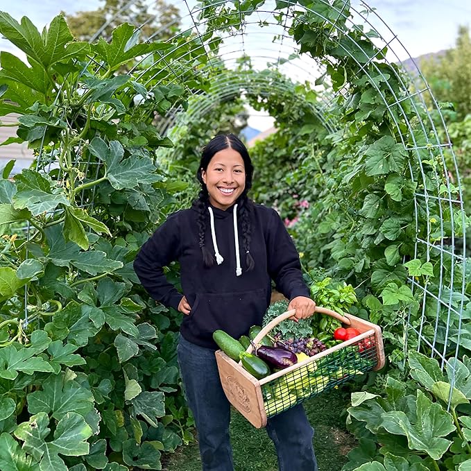 Thirsty Earth: CottaCup Automatic Olla Watering System for Your Garden (8 Cup Kit)
