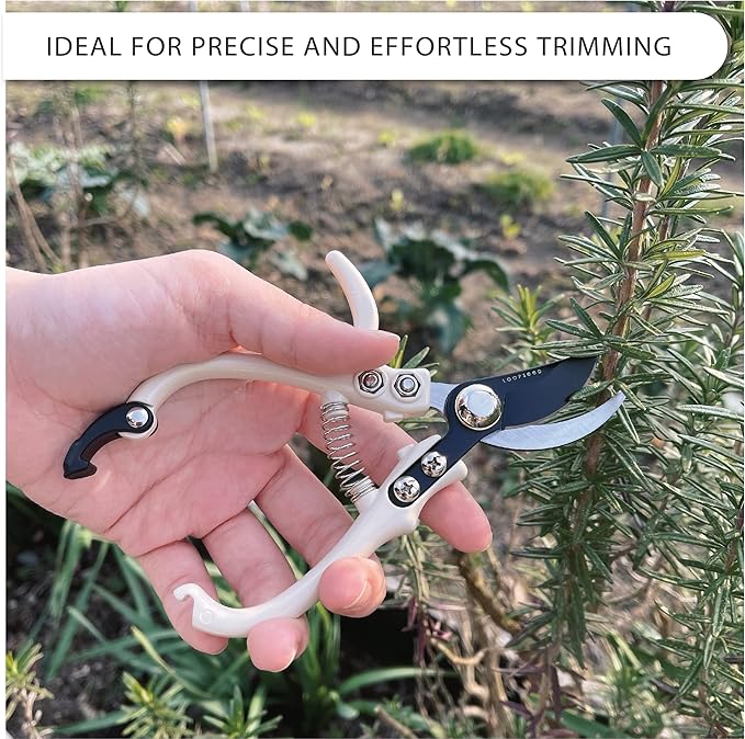 LOOPSEED Bypass Pruning Shears Hand Pruner Garden Trimming Scissors Plant Trimmers Herb Snips Flower Clippers Ergonomic Handle Modern Garden Tools (Classic Cream)