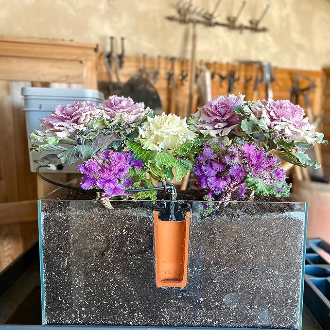 Thirsty Earth: CottaCup Automatic Olla Watering System for Your Garden (3 Cup Kit)