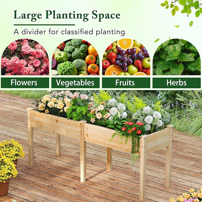 Raised Garden Bed with Legs, Elevated Planter Box with Divider & 8 Drainage Holes, Fir Wood Garden Box for Vegetables, Flowers, Fruits & Herbs (Natural)