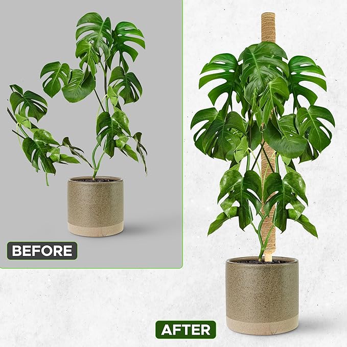 EcoNour 60.5" (4 Pcs - 16" & 2 Pcs - 12") Stackable Moss Pole for Monstera Plant Support | Moss Pole Sticks for Indoor Plants | Supports for Garden Climbing Plant Stakes, Creepers with Tie Accessory