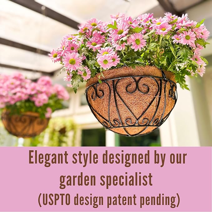 LaLaGreen Hanging Baskets for Plants (12 Inch, 2 Pack) Hanging Flower Pots with Coco Liner, Black Metal Wire Round Basket Plant Holder with Hanger Hook Chain, Outdoor Patio Deck Balcony Garden Decor