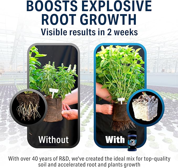 Great White Mycorrhizal Fungi, Beneficial Bacteria for Plant Growth, Root Stimulator, Concentrated 3-in-1 Formula by Plant Success (8 oz)