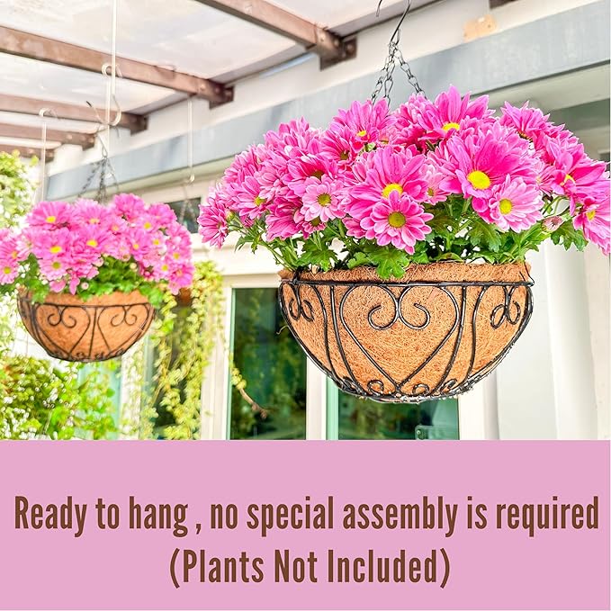 LaLaGreen Hanging Baskets for Plants (12 Inch, 2 Pack) Hanging Flower Pots with Coco Liner, Black Metal Wire Round Basket Plant Holder with Hanger Hook Chain, Outdoor Patio Deck Balcony Garden Decor