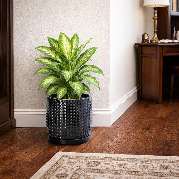 D'vine Dev 8 Inch Ceramic Beaded Stoneware Planter Pot - Flower Pot with Drainage Holes and Saucers for Indoor Succulent Plants or Flowers, Glossy Black, 27-C-Q-2