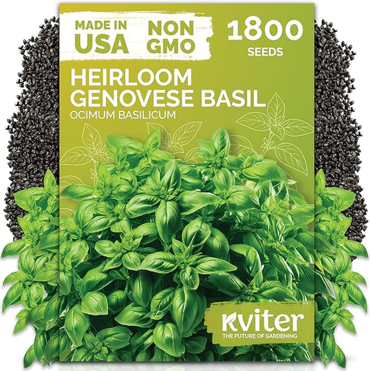 KVITER 1800 Genovese Basil Seeds for Planting (Ocimum basilicum) - Classic Savory Sweet Italian Basil - Non GMO & Heirloom Seeds for Kitchen Herb Garden, Containers & Beds, Indoors/Outdoors