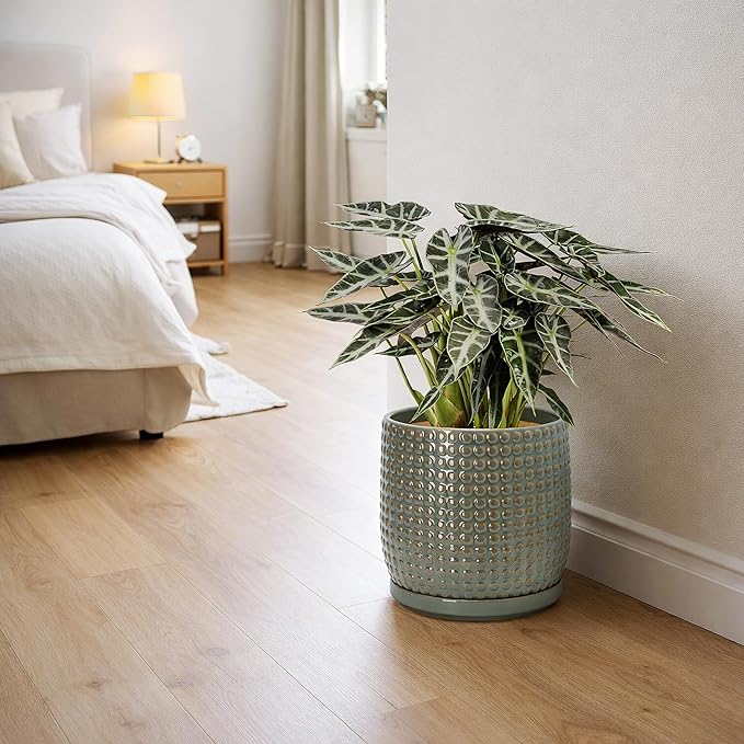 D'vine Dev 8 Inch Ceramic Beaded Stoneware Planter Pot - Flower Pot with Drainage Holes and Saucers for Indoor Succulent Plants or Flowers, Olive, 27-C-Q-0