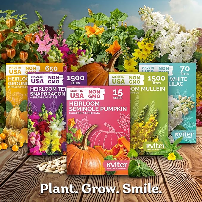 KVITER 600 Flat Leaf Italian Parsley Seeds (Petroselinum crispum) - Flavorful Classic Flat Leaf Parsley Seed Packets - Non GMO & Heirloom Seeds for Planting in Kitchen Herb Garden, Containers & Beds