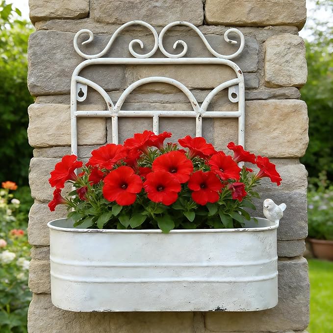Rustic Metal Wall Planter Vintage Wall Mounted Flower Pot Distressed Wall Hanging Plant Basket Farmhouse Wall Decor for Indoor Outdoor Garden Home Yard (White)