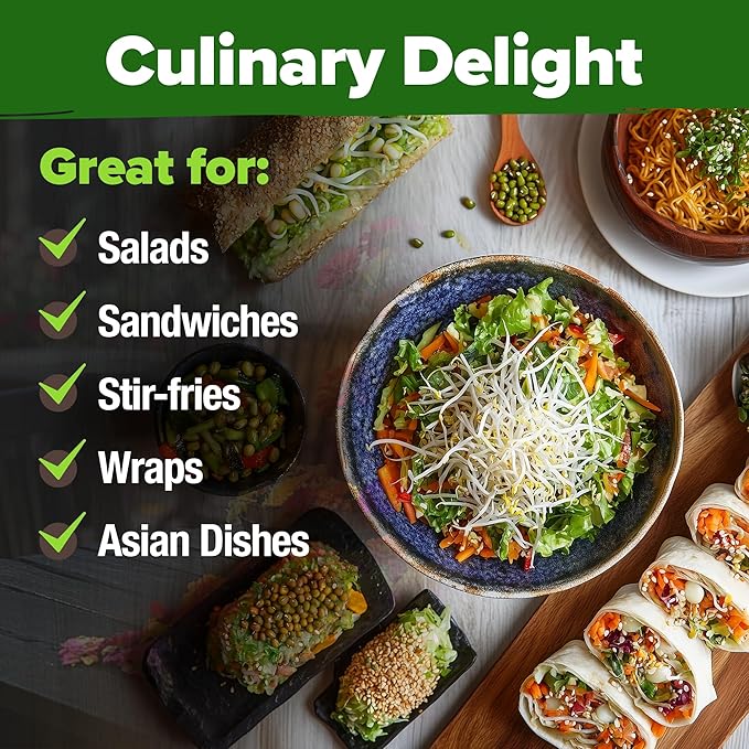 HOME GROWN Mung Beans Seeds Pack 1.5 lb Over 15,000 Sprouting Seeds Grow Fresh Mung Bean Sprouts or Microgreens for Quick, Easy, Nutrient-Packed Food for Your Daily Meals (Vigna Radiata)