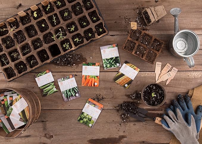 Vegetable and Herb Seeds Variety Pack for Home Garden Planting, AB