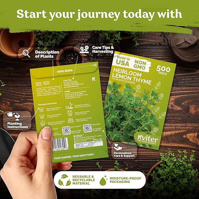 KVITER 500 Lemon Thyme Seeds for Planting (Thymus Pulegioides) – Wild Creeping Thyme Seeds Ground Cover, Aromatic & Drought-Tolerant Herbaceous Flower – Ideal for Walls, Fences & Herb Garden