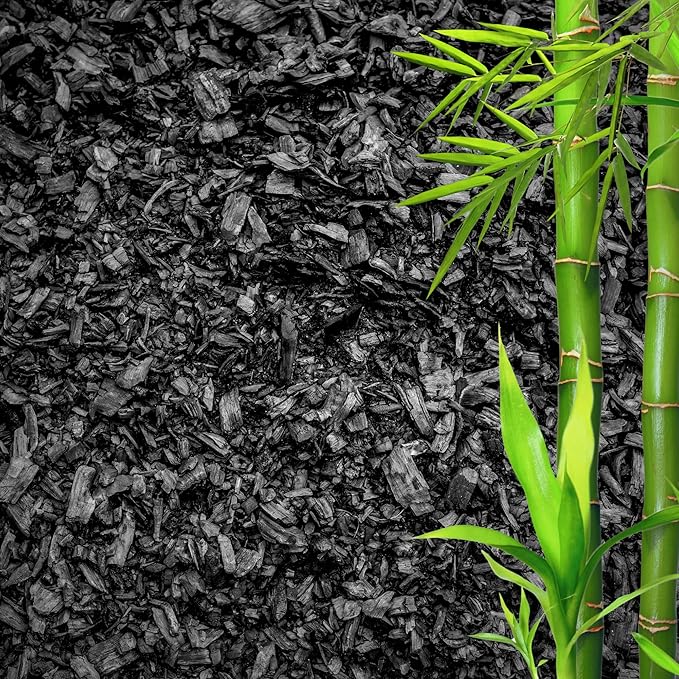 Horticultural Charcoal for Plants – Organic Bio Char Soil Amendment for Terrariums, Indoor Plants & Gardening, Made in USA (1 Quart)