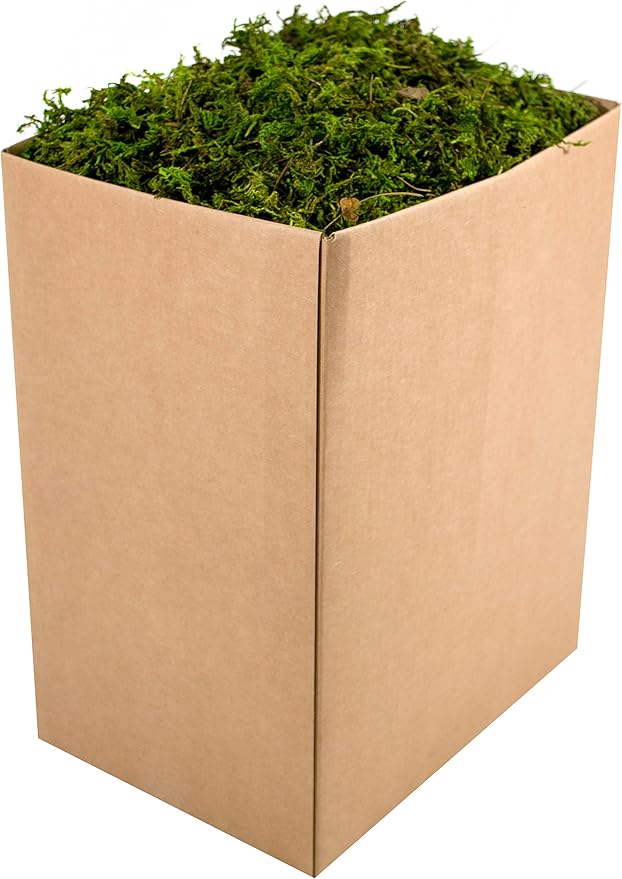 SuperMoss (25326 Forest Moss Preserved, Fresh Green, 5lbs