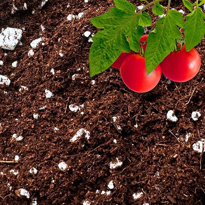 Coco Perlite - Coco Coir Perlite Mix - 70/30 Growing Media - Hydroponic, Indoor & Outdoor, Grow Bags & House Plants (20 quarts - 0.75 cu ft)