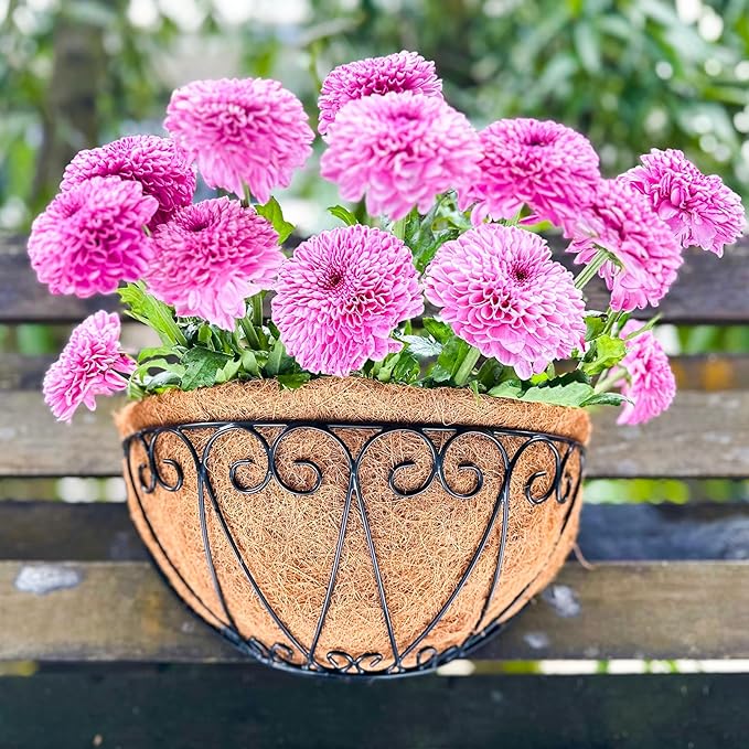 LaLaGreen Outdoor Wall Planters (2 Pack, 12 Inch) Black Metal Wall Mounted Hanging Basket with Coco Liner, Flower Pot Plant Holder Semi-Circle Planter for Fence Railing Deck Porch Balcony Garden Decor