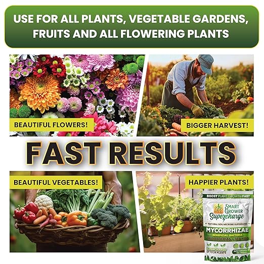 Mycorrhizal Fungi with Beneficial Bacteria, Trichoderma, Sea Kelp, Molasses, Yucca, Smart Grower Supercharge Plant Root Enhancer 4oz Super Concentrate Powder Makes 50 Gallons