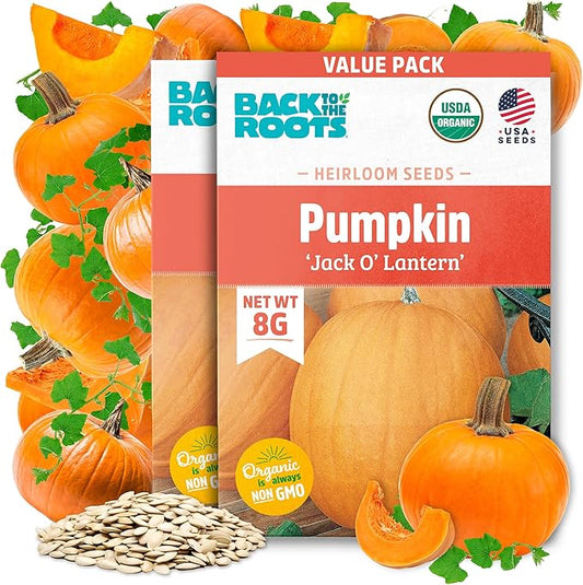 Back to The Roots 100% Organic Seed Packets - Pumpkin 'Jack O'Lantern' (Pack of 2)
