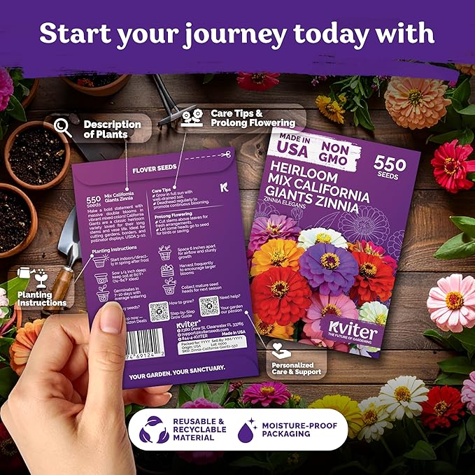 KVITER 550 California Giant Zinnia Seeds for 2025 (Zinnia Elegans) – Heirloom & Non GMO Double Blooms, Pollinator Magnet – Ideal Flower Seeds for Planting in Garden, Containers, Cutting Beds