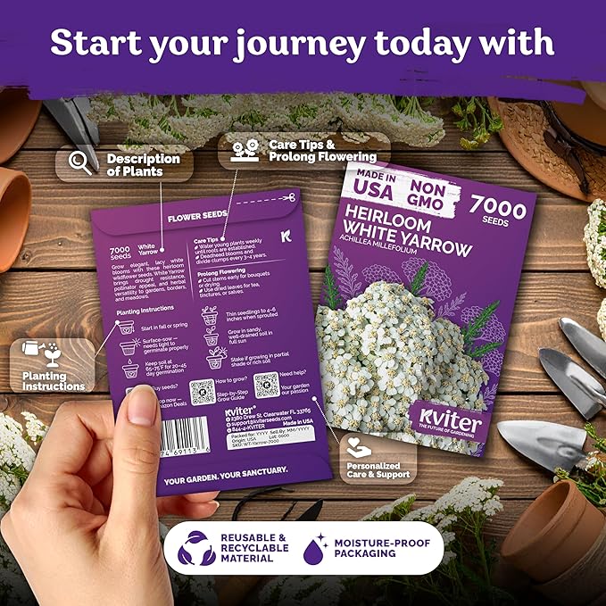 KVITER 7000 White Yarrow Seeds for Planting (Achillea Millefolium) — Perennial Flower Seeds to Plant Outside, Heirloom & Organic — Native Wildflower Seed for Herb Garden, Beds, Containers & Meadows