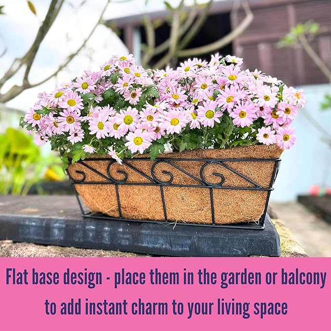 LaLaGreen Wall Planters for Outdoor Plants (2 Pack, 16 Inch) Window Flower Boxes Basket Attach to House, Deck Railing Strawberry Planters with Coco Liners BalconyTroughs Fence Patio Porch Over Rail