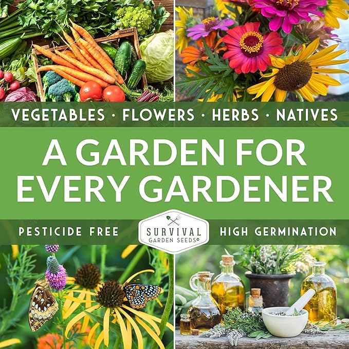 Homesteader Seed Vault - 50 Packs of Non-GMO Heirloom Vegetable, Fruit, Herb Seeds for Planting a Victory Garden - Grow Survival Food for Storage, Emergency Preparedness - Survival Garden Seeds