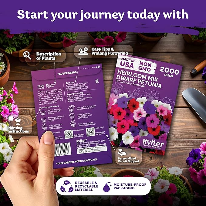 KVITER 2,000 Mix Dwarf Petunia Seeds for Planting Flowers (Nana Compacta) — Mini Petunia Flower Seeds, Annual, Organic & Non GMO — Beds, Hanging Baskets, Containers, Outdoor & Indoor Garden