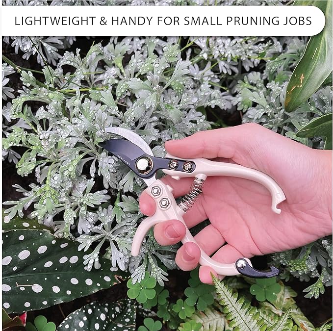 LOOPSEED Bypass Pruning Shears Hand Pruner Garden Trimming Scissors Plant Trimmers Herb Snips Flower Clippers Ergonomic Handle Modern Garden Tools (Classic Cream)