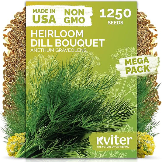 KVITER 1250 Dill Bouquet (Anethum graveolens) Seeds – Aromatic Herb for Gardens and Containers – Early Flowering, Excellent for Pickling, Fresh Use, and Seasoning