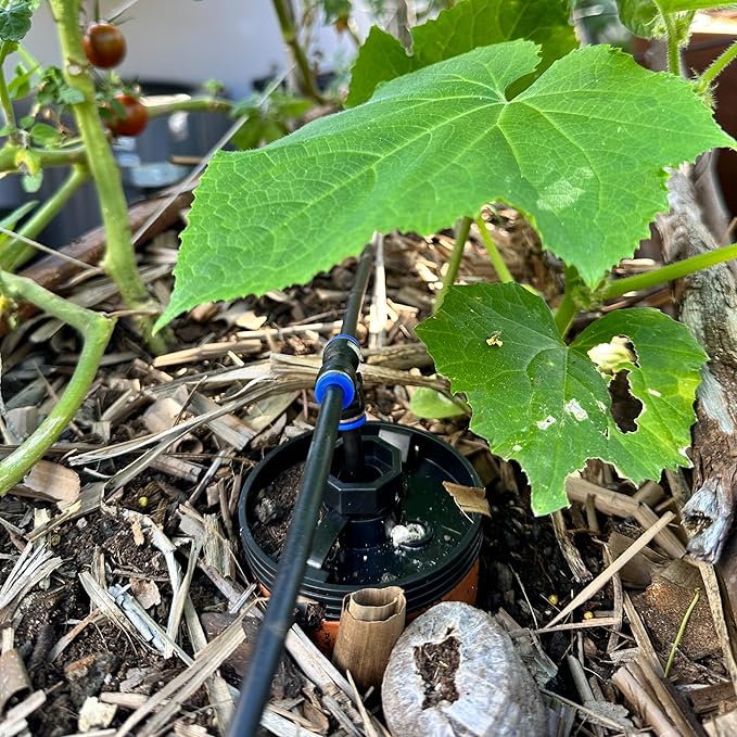 Thirsty Earth: CottaCup Automatic Olla Watering System for Your Garden (8 Cup Kit)