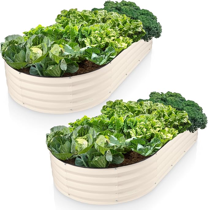Plant & Plot Galvanized Raised Garden Beds Outdoor // 6×3×1 ft (2-Pack) Planter Raised Beds for Gardening, Vegetables, Flowers // Large Metal Garden Box // Patented Tool-Free Design (White)