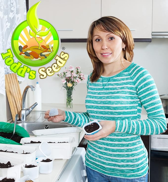 Todd's Seeds Sprouting Seeds Radish Mix, Daikon Radish and Red Rose Radish, Non-GMO, Chemical Free, High Germination (1/4 Pound)