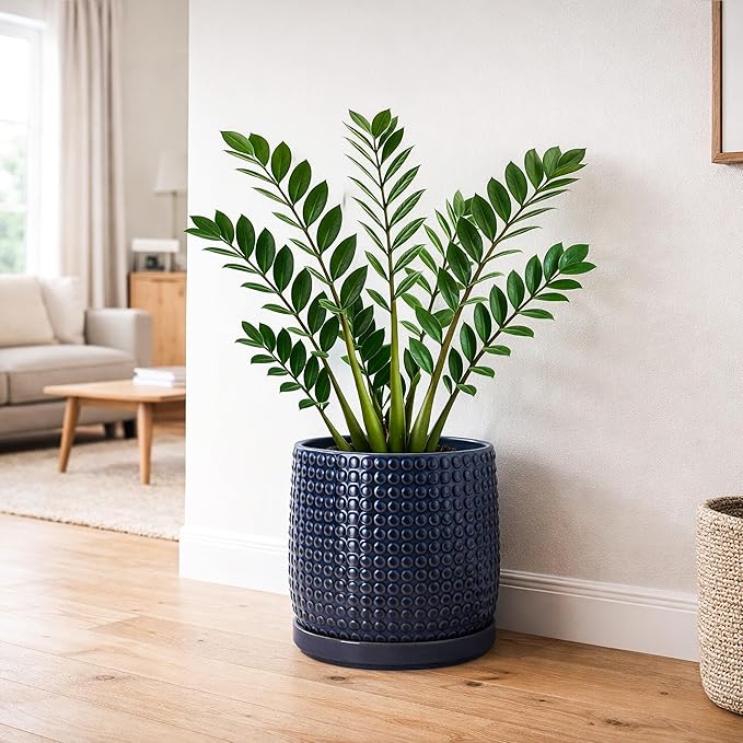 D'vine Dev 8 Inch Ceramic Beaded Stoneware Planter Pot - Flower Pot with Drainage Holes and Saucers for Indoor Succulent Plants or Flowers, Midnight Blue, 27-C-Q-3