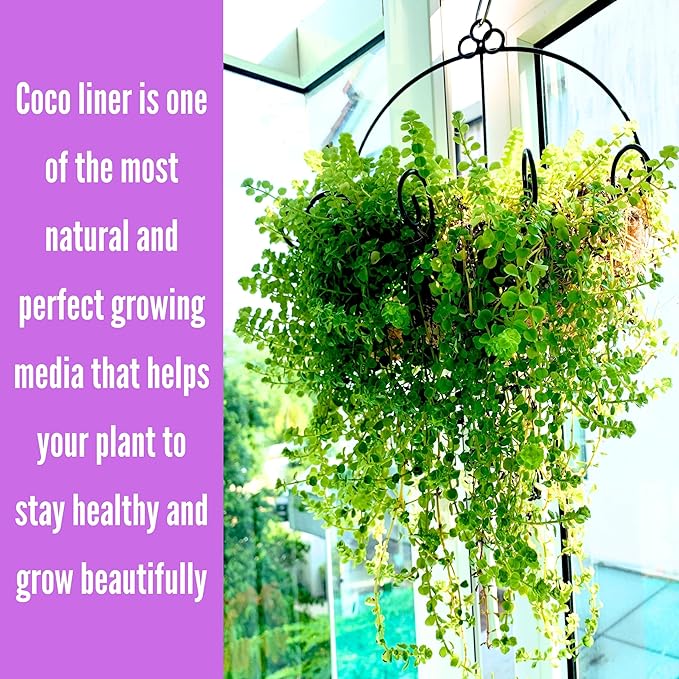 ShopLaLa Wall Hanging Planter for Outdoor Plants (4 Pack, 12 Inch) Wall Mounted Flower Baskets with Coco Liner for Outside Plant, Fence Railings Pots Holder Balcony Deck Porch Garden Decor Indoor
