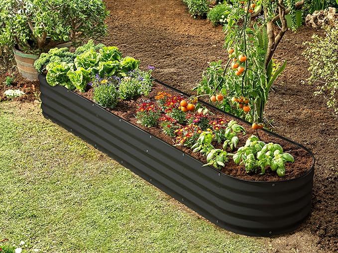 Plant & Plot Galvanized Raised Garden Beds Outdoor // 8×2×1 ft Planter Raised Beds for Gardening, Vegetables, Flowers // Large Metal Garden Box (Black) // Patented Tool-Free Design