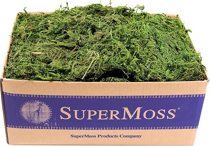 SuperMoss (25325) Forest Moss Preserved, Fresh Green, 3 Pounds