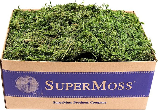 SuperMoss (25325) Forest Moss Preserved, Fresh Green, 3 Pounds