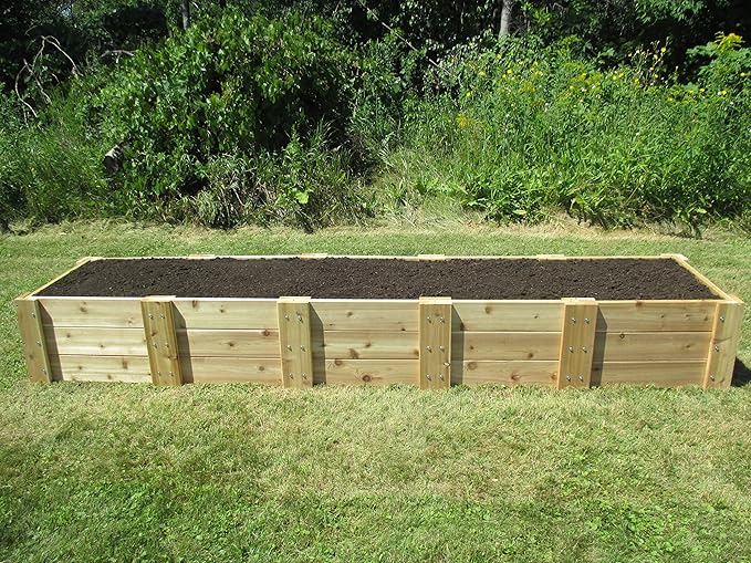 Infinite Cedar Premium Cedar Raised Garden Bed (2' x 10' x 16.5" H)
